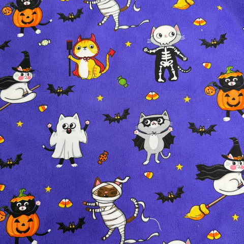 Halloween kittens