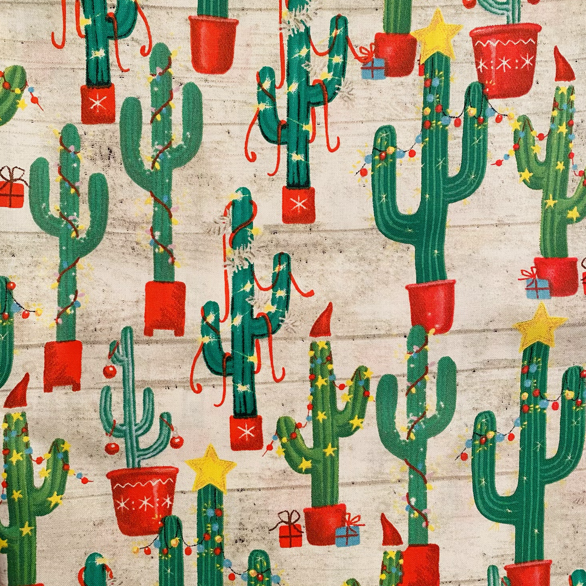 CACTUS  CHRISTMAS