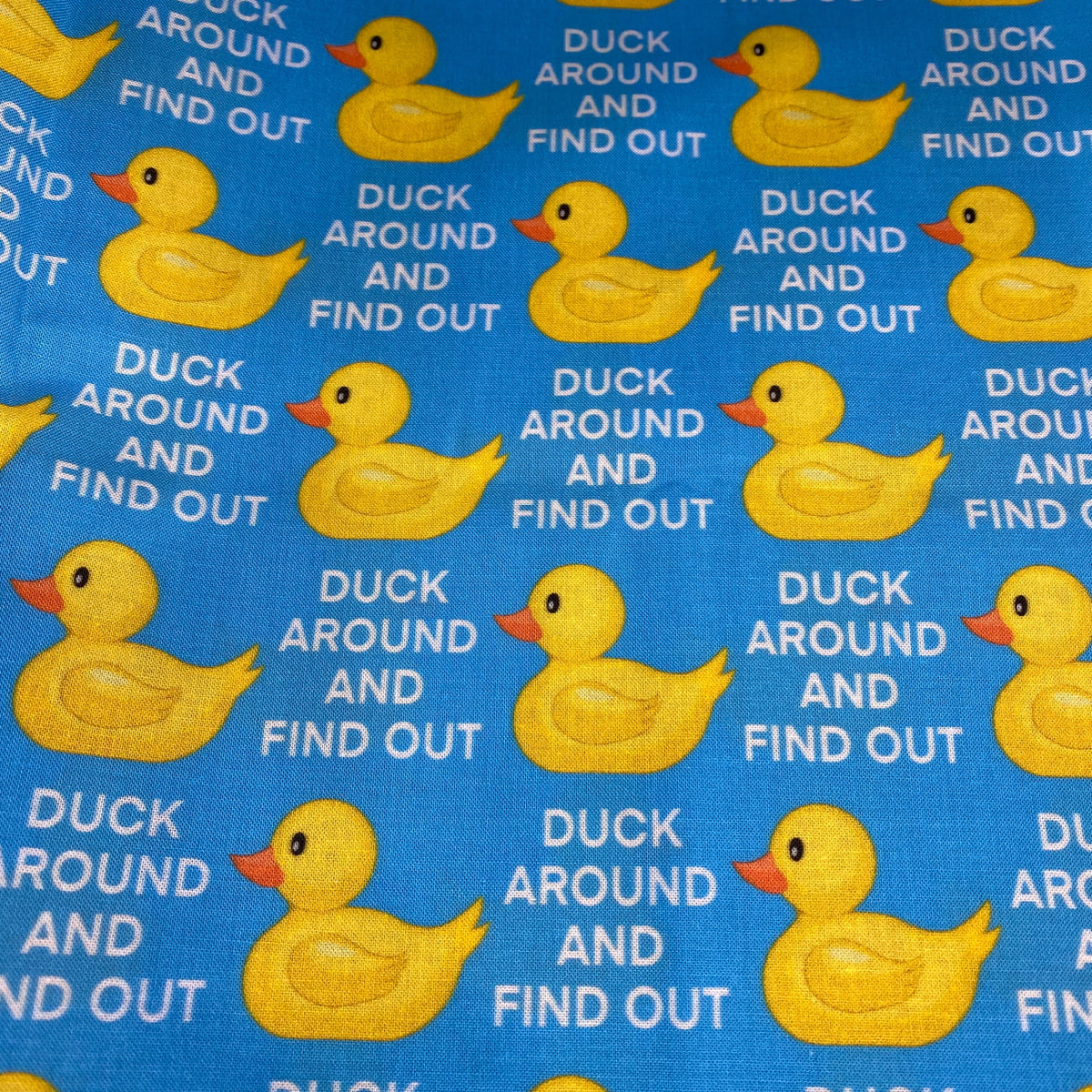 DUCK AROUND AND FIND OUT